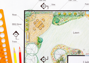 thiet-ke-san-vuon-don-gian-03