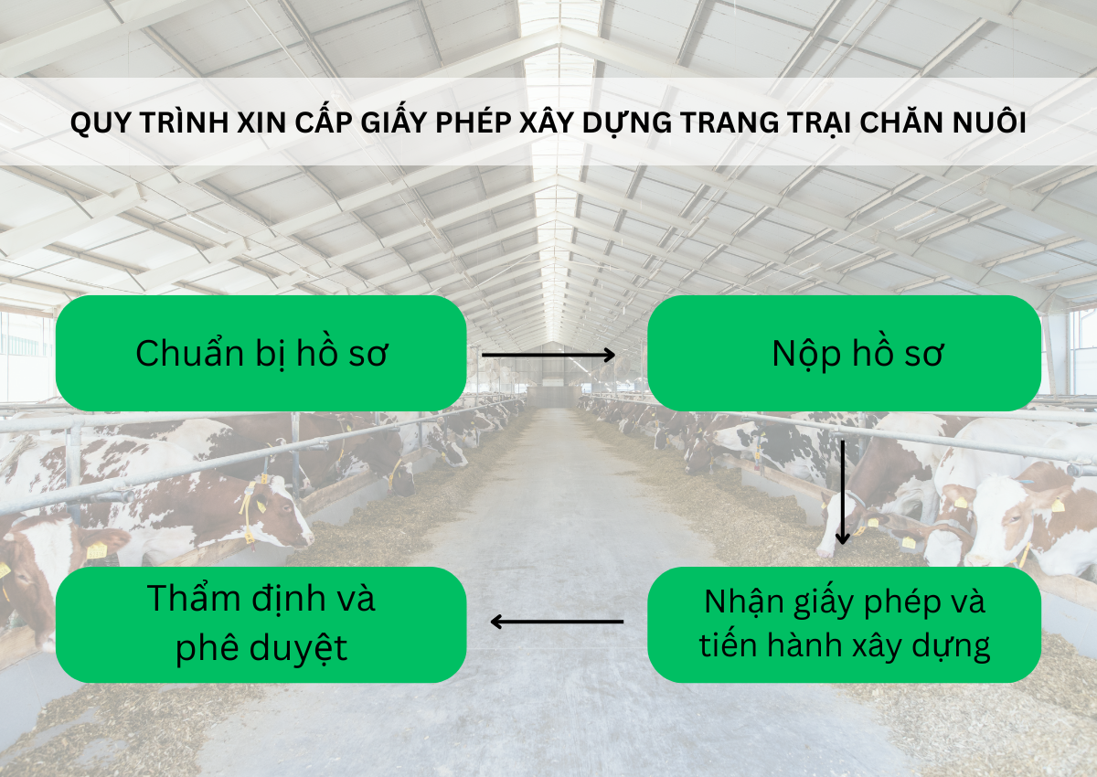 Cấp giấy phép xây dựng trang trại chăn nuôi: Quy trình và lưu ý quan trọng 2 Cấp giấy phép xây dựng trang trại chăn nuôi (1)